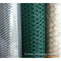 PVC coated chicken wire mesh/plastic chicken mesh